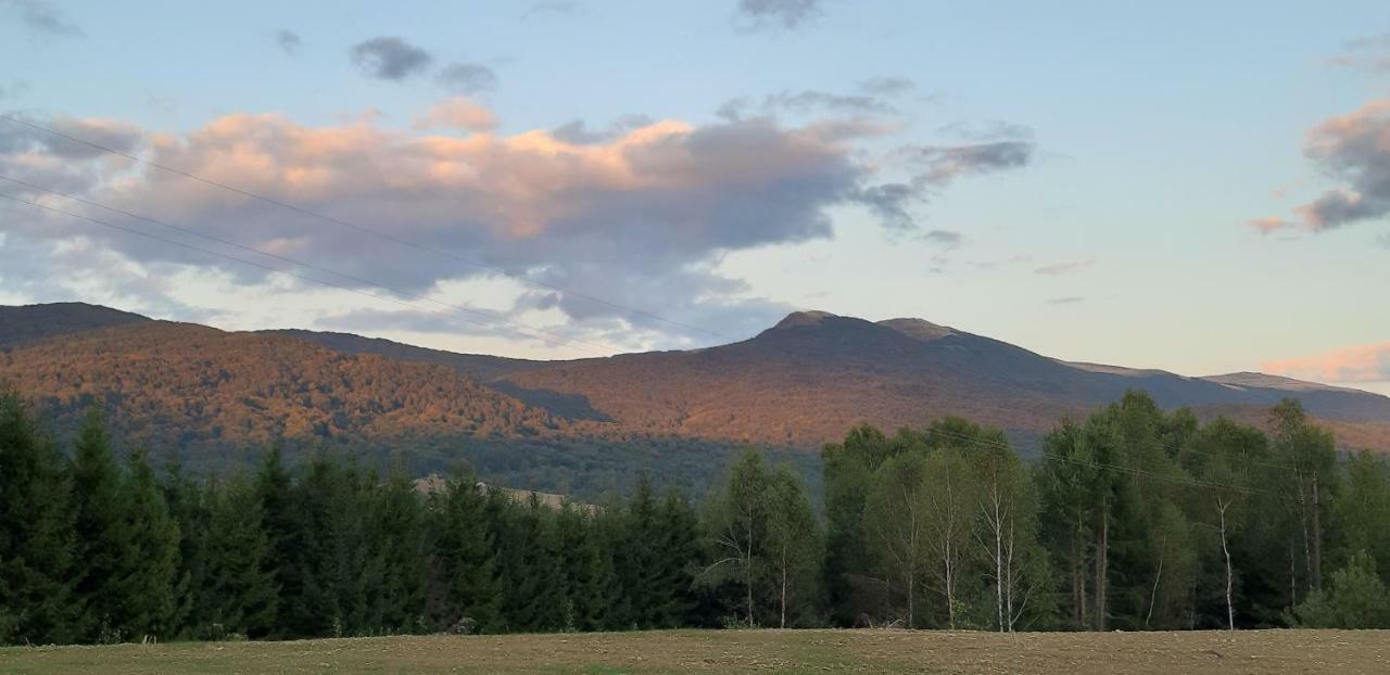 Pod Wielka Zalesiona Gora Wetlina Exteriér fotografie